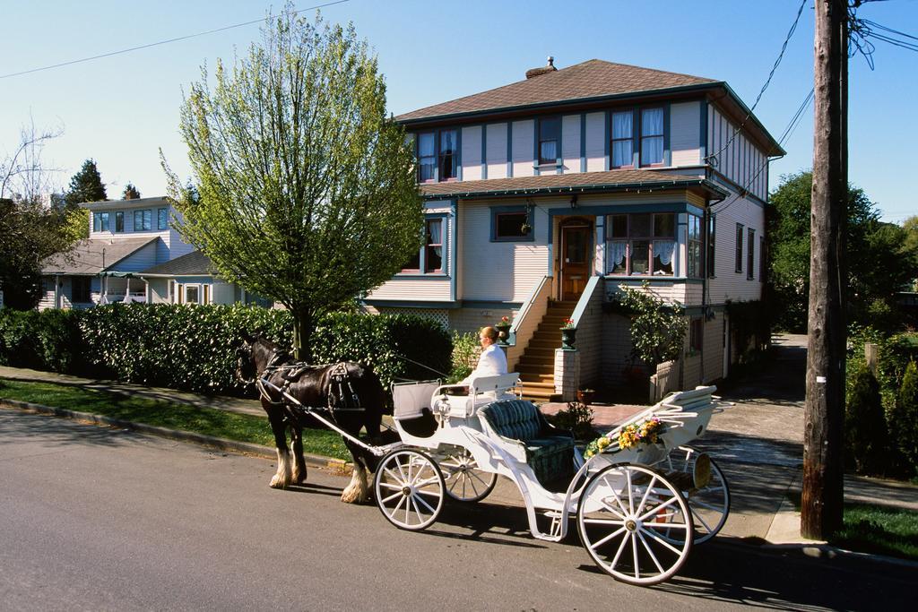 Marketa'S Bed And Breakfast